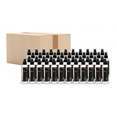 Quick&Bright AIR-FRESH SUNRISE, Fußmattenbeduftungsspray, Karton (45 x 100 ml)