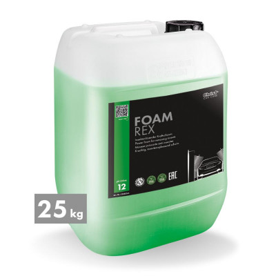 FOAM REX premium insect foam, 25 kg
