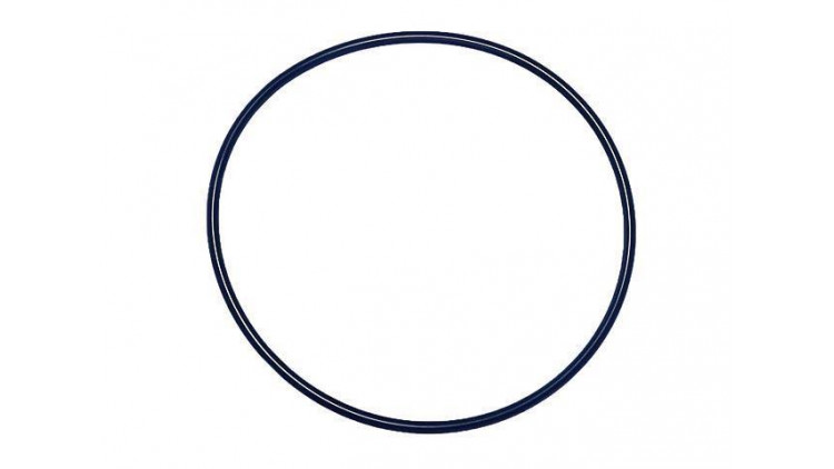 O-Ring   für grosses VA Filtergehäuse - Abbildung ähnlich